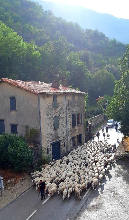 Auberge Cevenole Valleraugue Exteriér fotografie