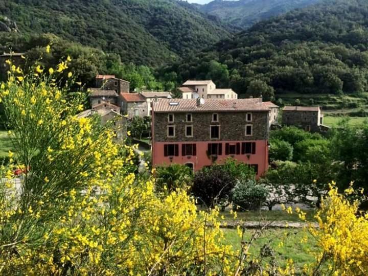 Auberge Cevenole Valleraugue Exteriér fotografie